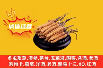昭通回收冬虫夏草
